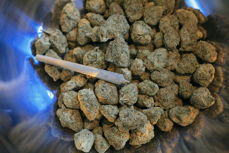 Slik finner du balansen mellom jobb og familie i hverdagen cannabis 7516370 960 720.jpg